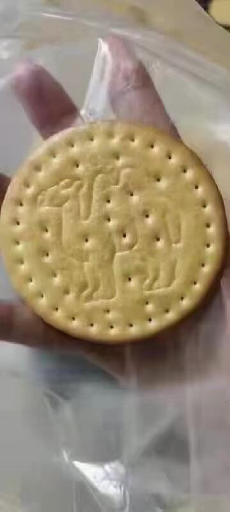 骆驼饼干粗粮饼干厂家直销两大从优送骆驼模型