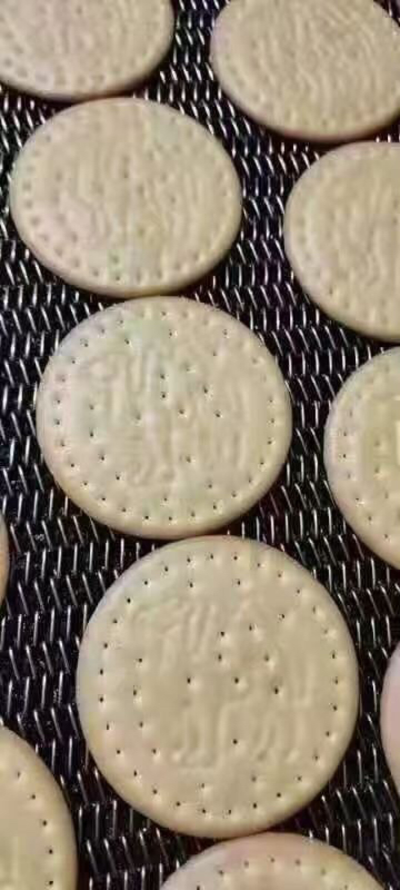 骆驼饼干粗粮饼干厂家直销两大从优送骆驼模型