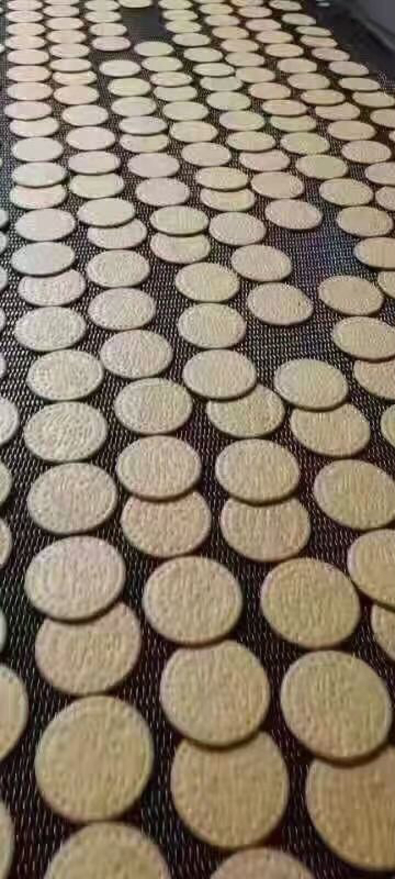 骆驼饼干粗粮饼干厂家直销两大从优送骆驼模型