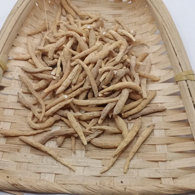 太子参中药材批发太子参批发各种中药材