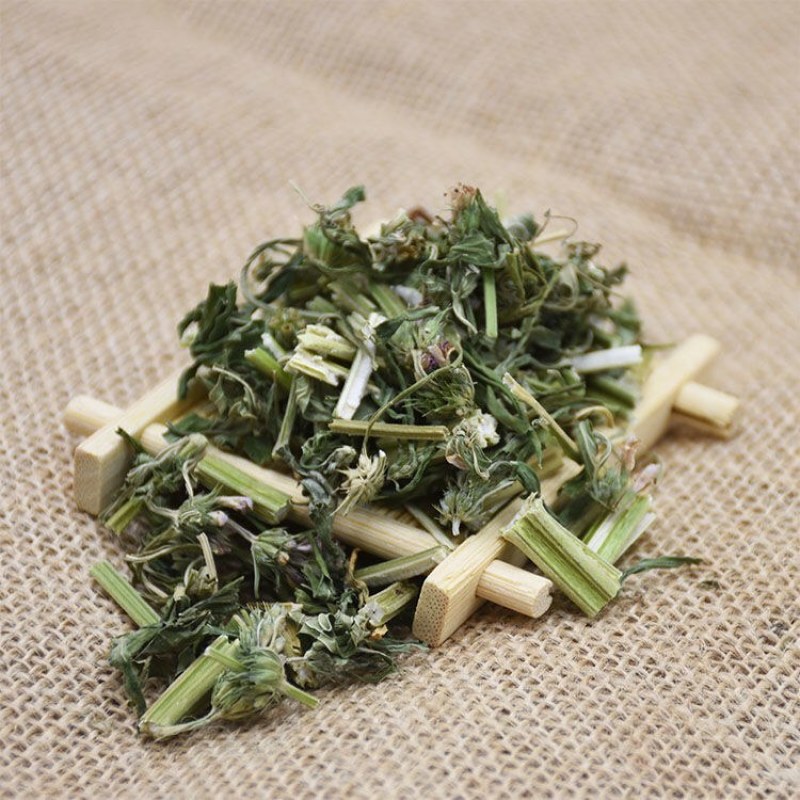 益母草野生干益母草益母草茶包调理月经益母草多规