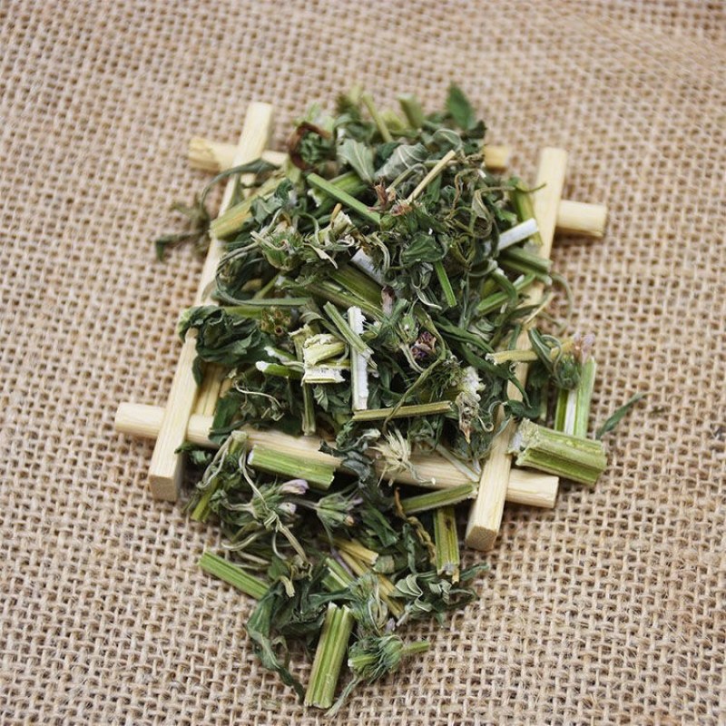 益母草野生干益母草益母草茶包调理月经益母草多规