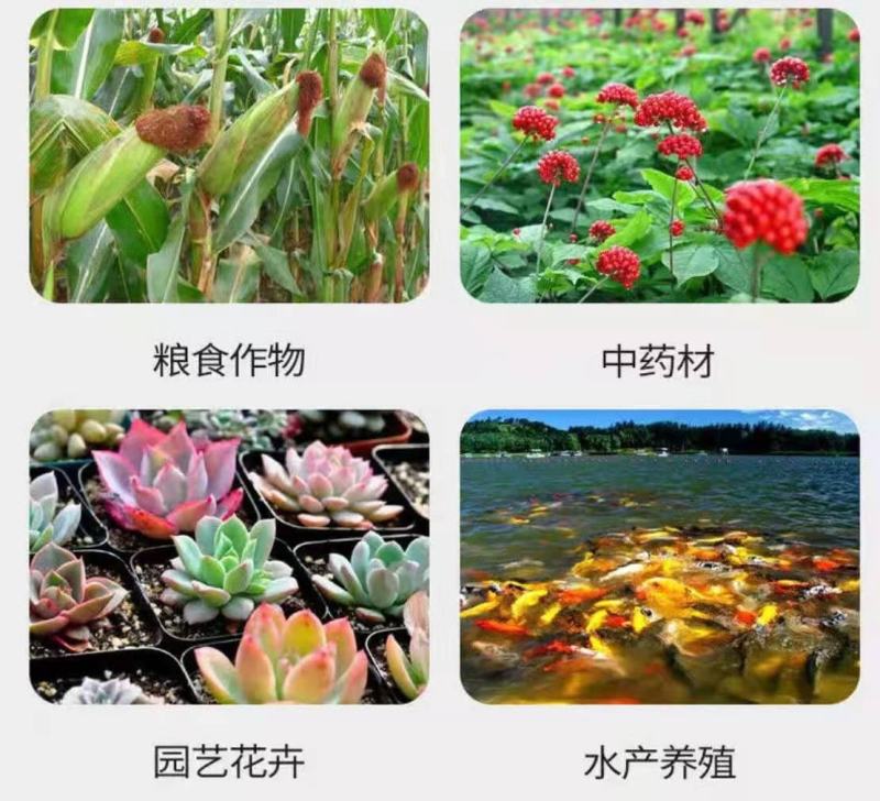 氨基酸原粉农用复合肥氨基酸水产养殖生根壮苗