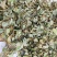 金钱草广西天然新鲜大叶金钱草广金钱草当季新货干