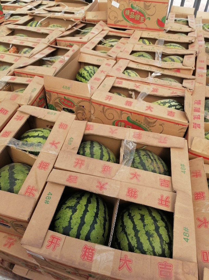 老挝甜王大量上市有需要的