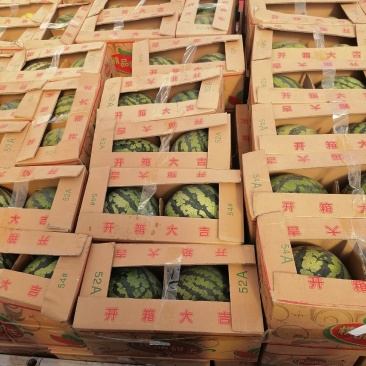 老挝甜王大量上市有需要的