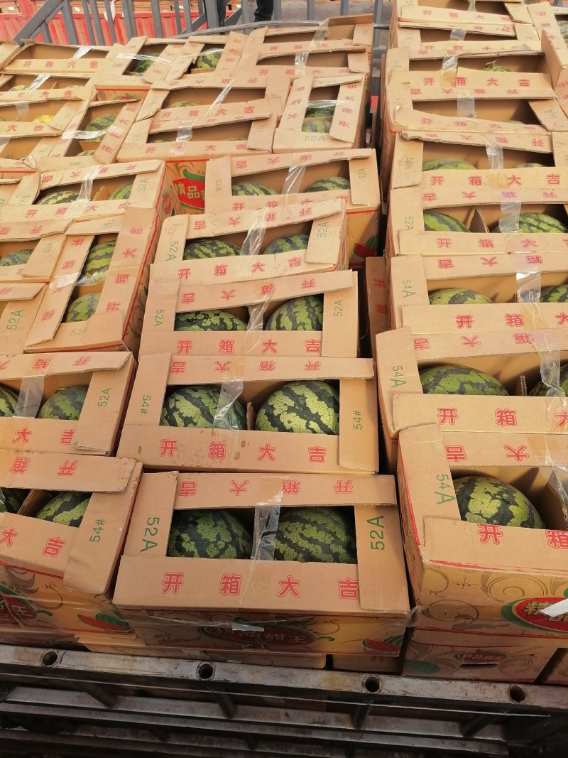 老挝甜王大量上市有需要的