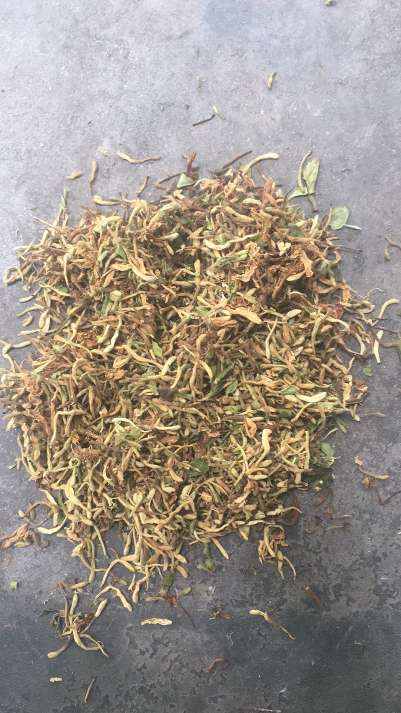 供应金银花含量大货欢迎各位药材同仁合作共赢