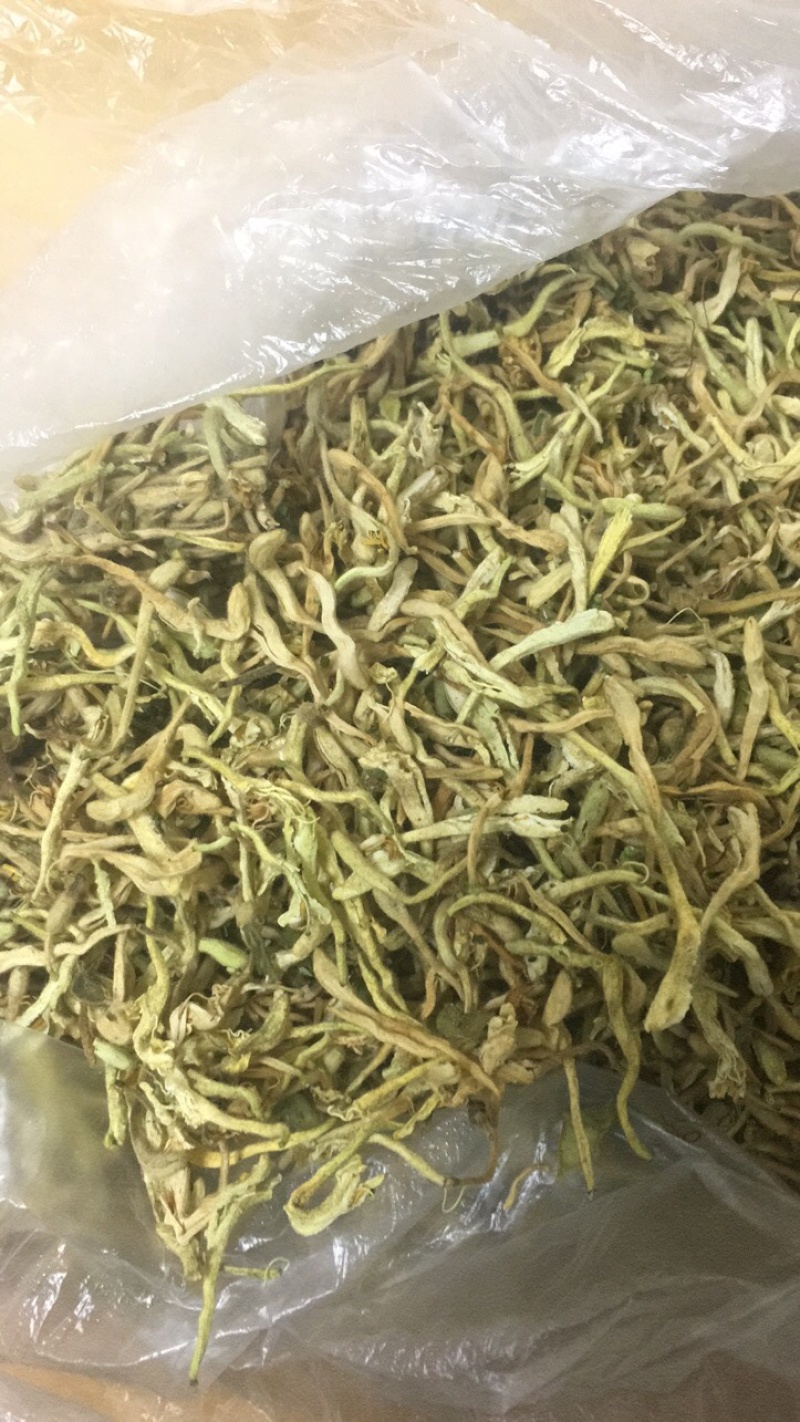供应金银花含量大货欢迎各位药材同仁合作共赢
