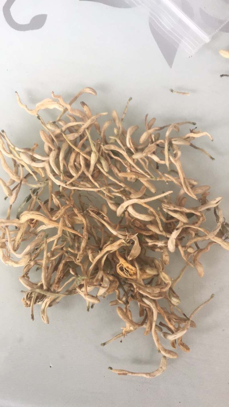 供应金银花含量大货欢迎各位药材同仁合作共赢