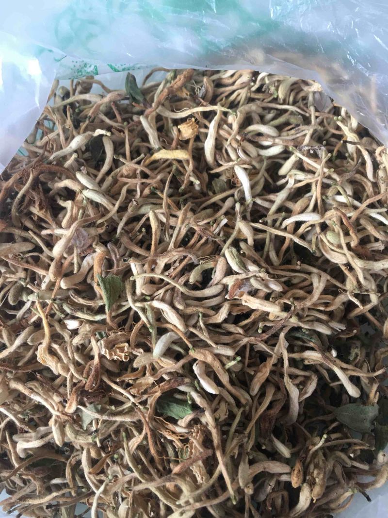 供应金银花含量大货欢迎各位药材同仁合作共赢
