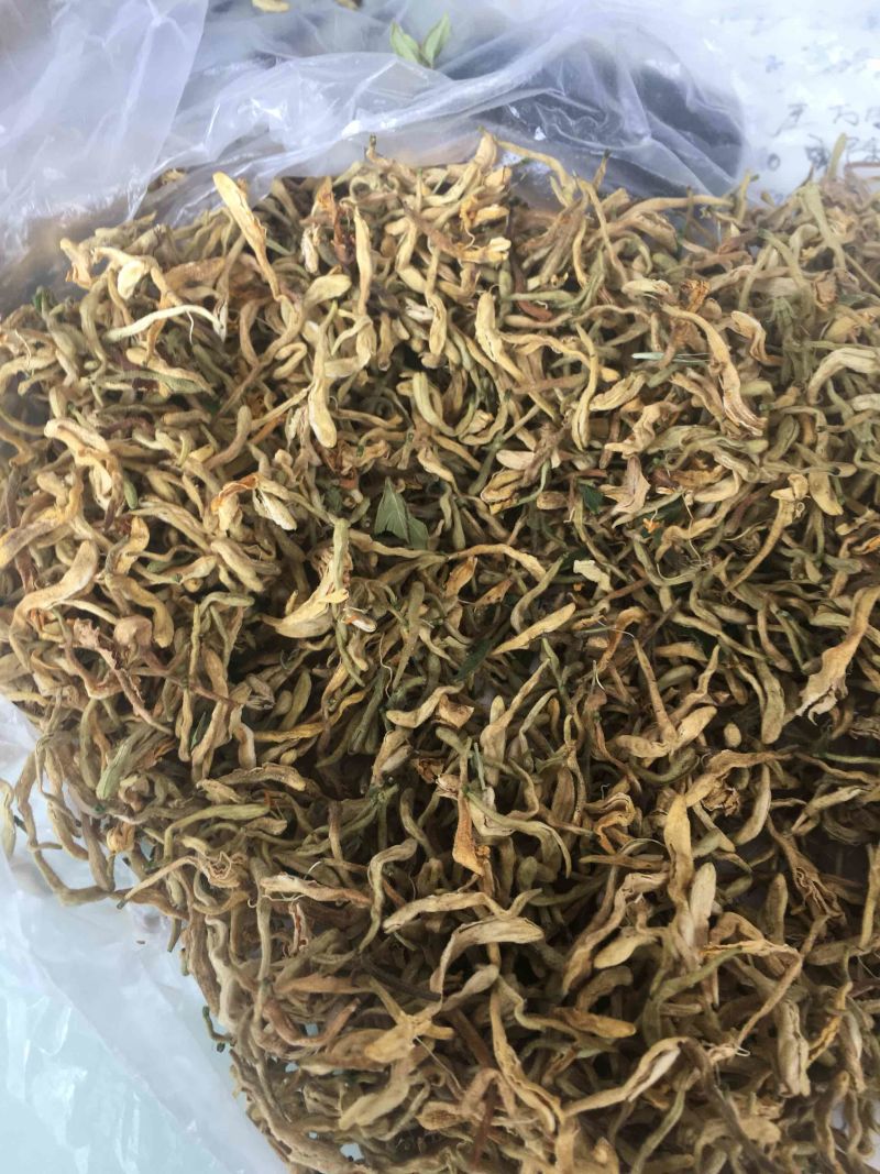 供应金银花含量大货欢迎各位药材同仁合作共赢