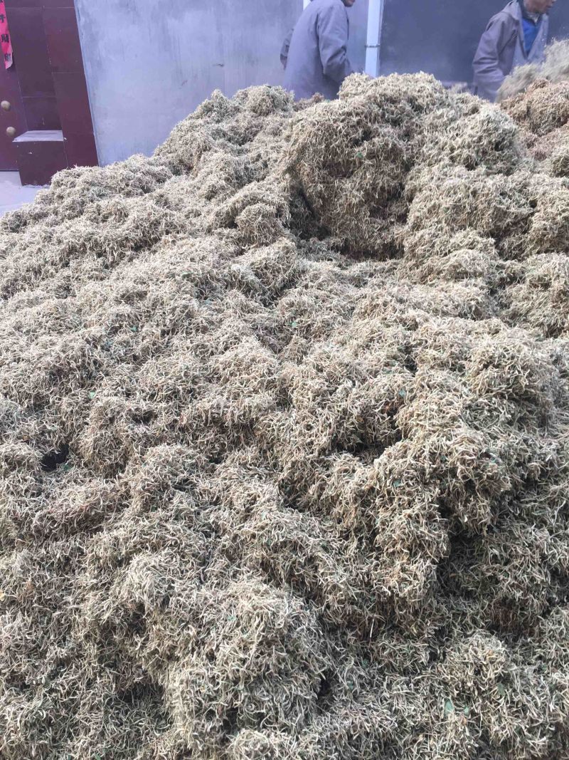 供应金银花含量大货欢迎各位药材同仁合作共赢