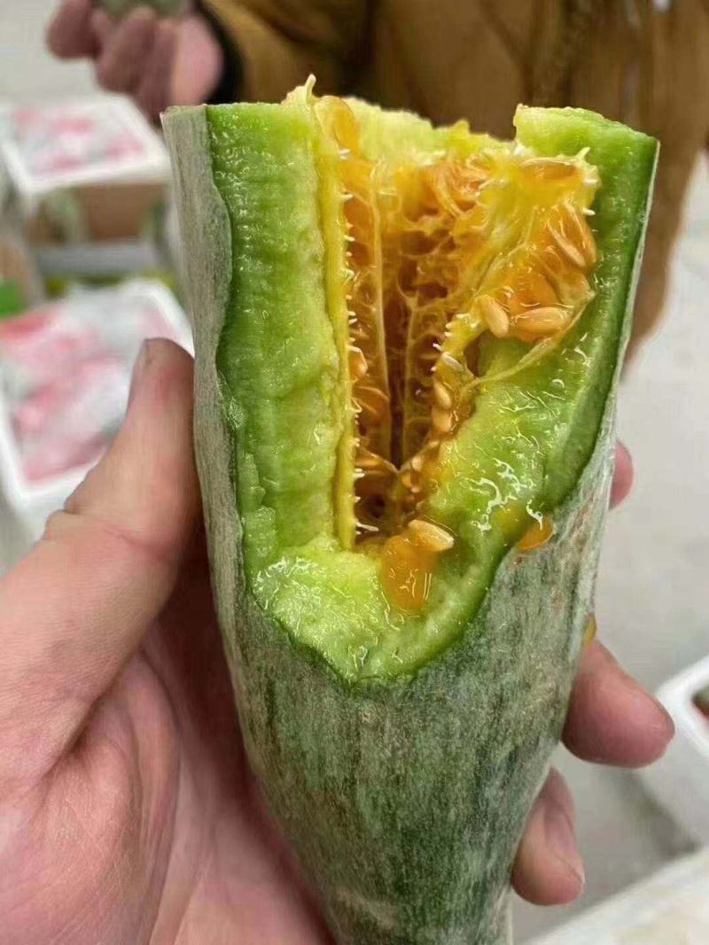 羊角蜜甜瓜山东羊角蜜甜瓜新鲜水果香瓜大量上市