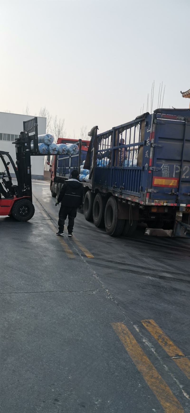 黑白相间地膜西瓜土豆地瓜专用地膜