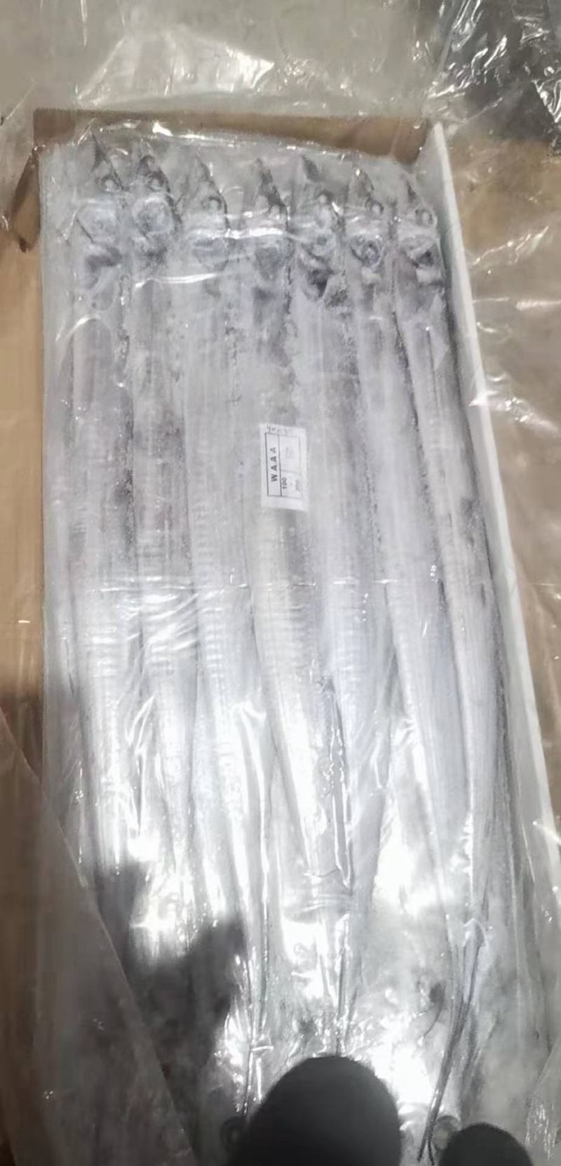 进口A级刀鱼规格齐全欢迎选购