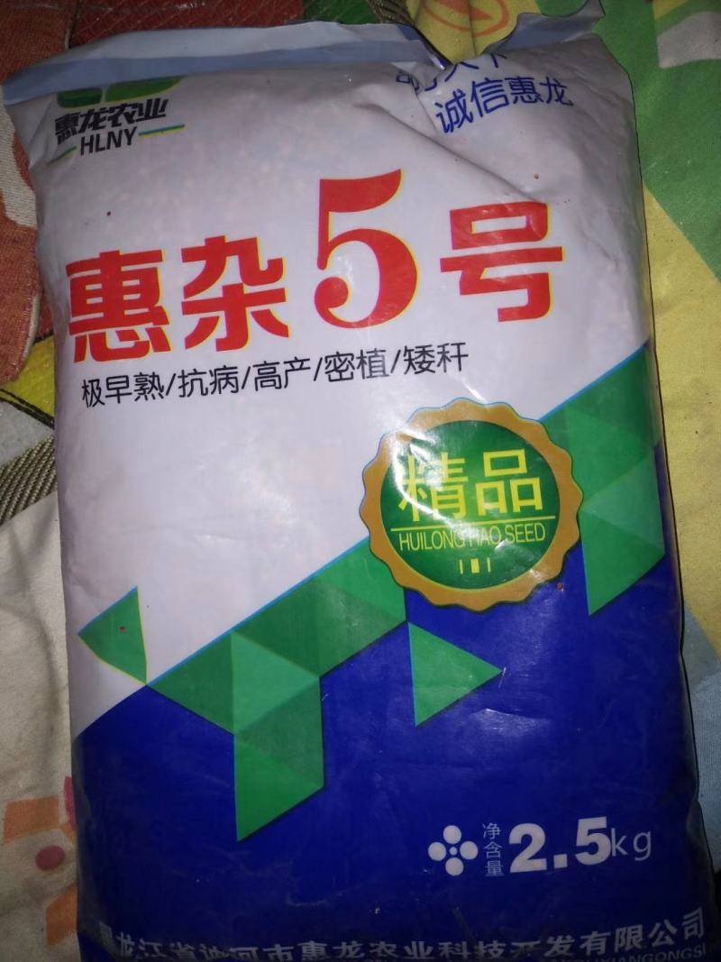 高粱种子惠杂5号高粱种子酿酒用红高粱种子高产新品种