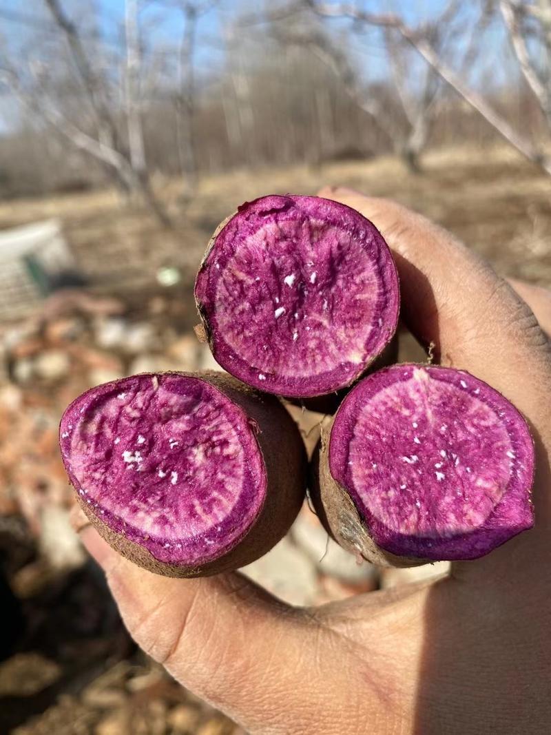 紫薯紫罗兰蜜薯新鲜上市货源充足支持全国发货