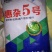 极早熟酿酒专用红高粱新品种惠杂5号高粱种子