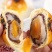 【日期新鲜】蛋黄酥网红零食健康食品整箱批发糕