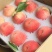 【原产地】桃树苗皮球桃子苗龙泉驿原产地出口级品种