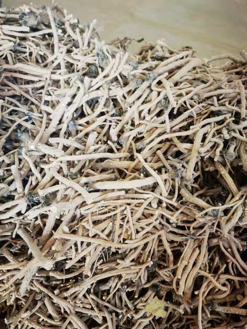 板蓝根籽，小籽，颗粒饱满，纯度高，基地直发，量大从优