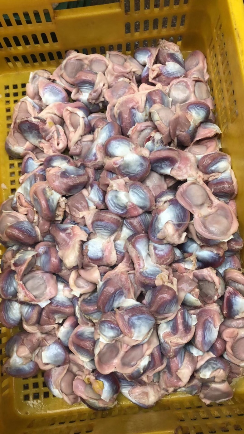 鹅肾：可焖可白灼可炒！厂家直供质量保证欢迎采购