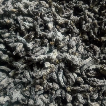 天葵子老鼠屎新货—烘干水洗过筛挑选精品上市啦
