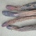 正品新疆野生锁阳不包邮锁阳片免费打粉品相好