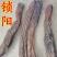 正品新疆野生锁阳不包邮锁阳片免费打粉品相好