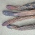 正品新疆野生锁阳不包邮锁阳片免费打粉品相好