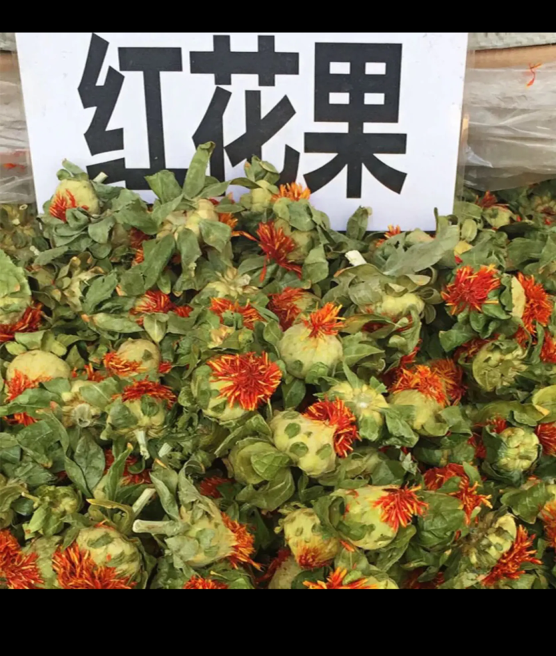 红花籽、云南红花籽，纯新种籽，基地直发，量大从优