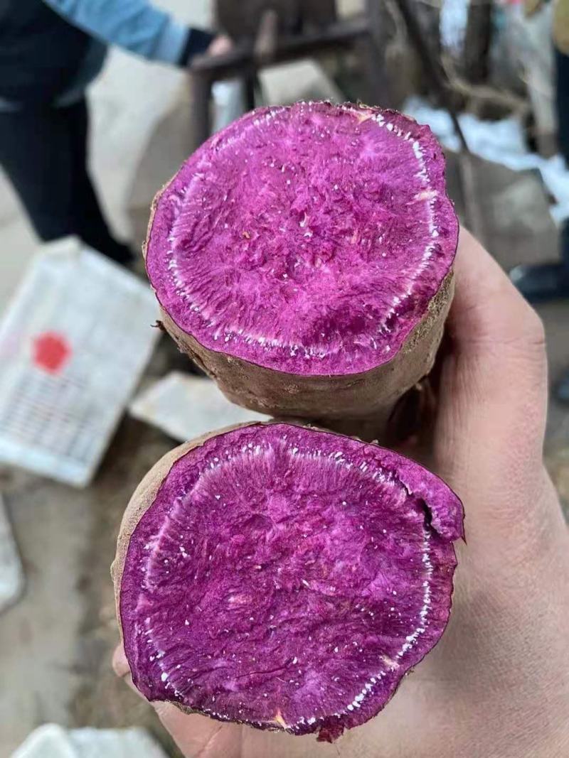 【精选】紫薯紫罗兰红薯产地一手货源丘陵沙地种植地窖糖化