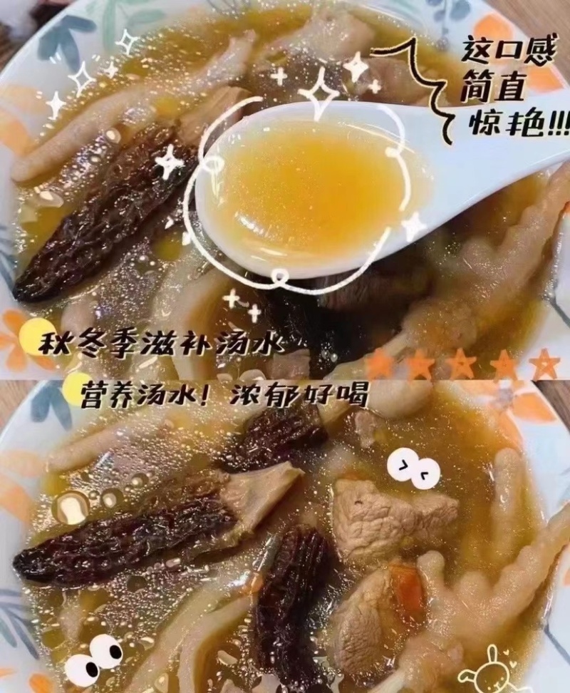 恩施新鲜羊肚菌自有基地每天现采摘烘干农家