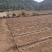 宾川祥云大量农用养殖用土地出租………………