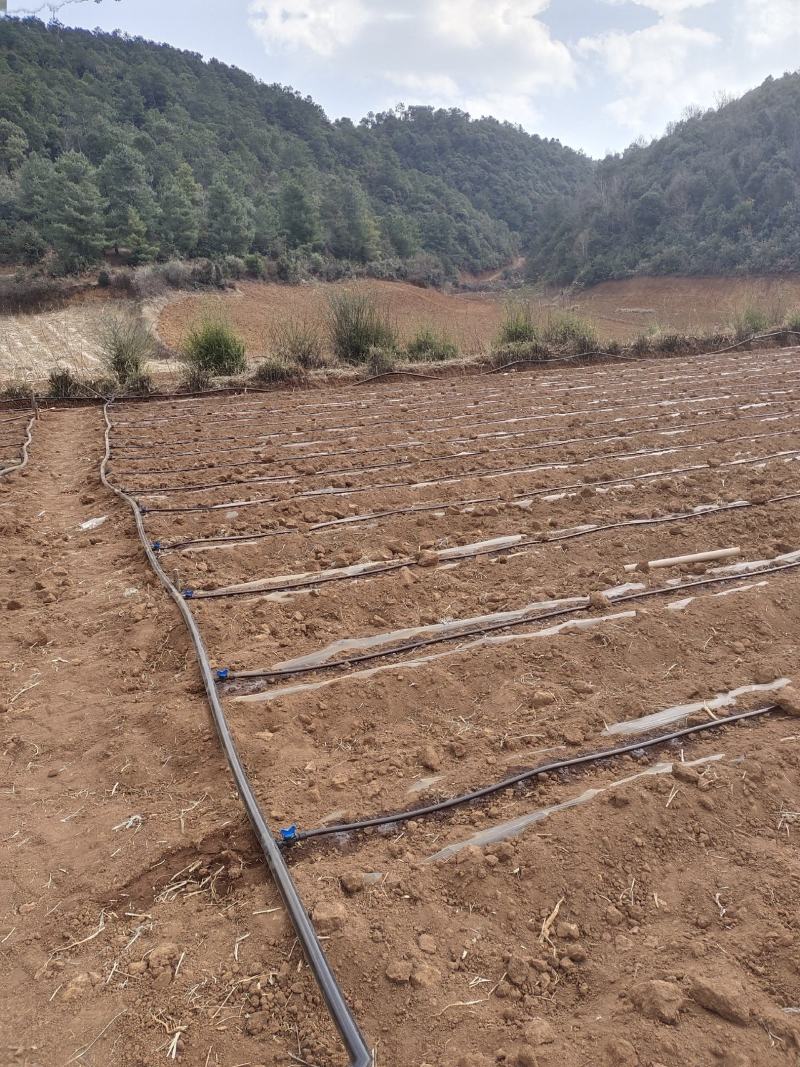 宾川祥云大量农用养殖用土地出租………………