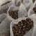 2022年羊肚菌新货羊肚菌干货头茬精选货。