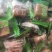 陈果佬梨膏糖薄荷糖各种颜色一手货源一袋60斤