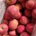 红富士苹果冷库直销货源充足常年供应保质保量