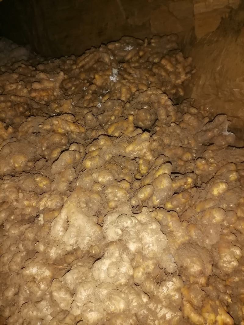 湘西本地小黄姜，口感美味，品质优良，个头统一