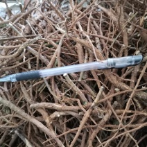 北柴胡、质优价廉、产地直销、一手货源