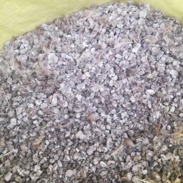 鸟粪20吨纯干颗粒粪