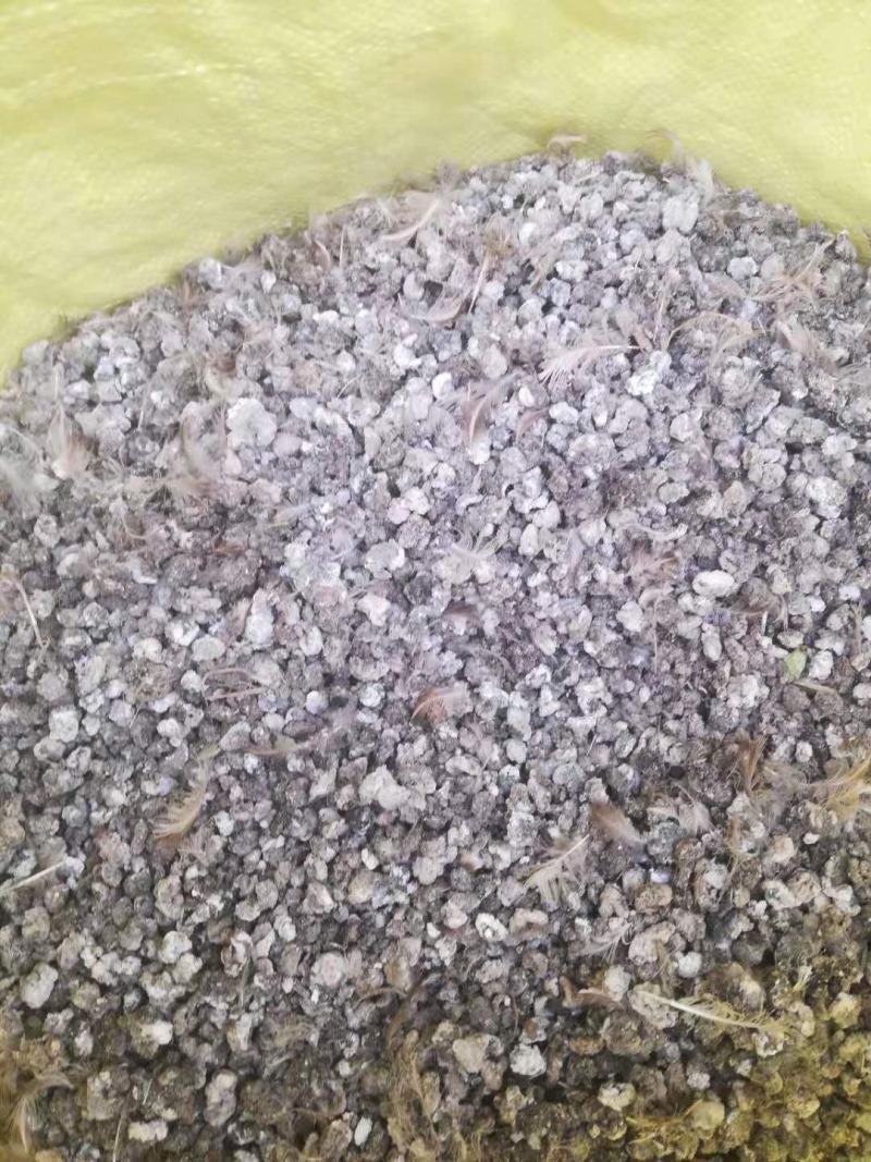 鸟粪20吨纯干颗粒粪