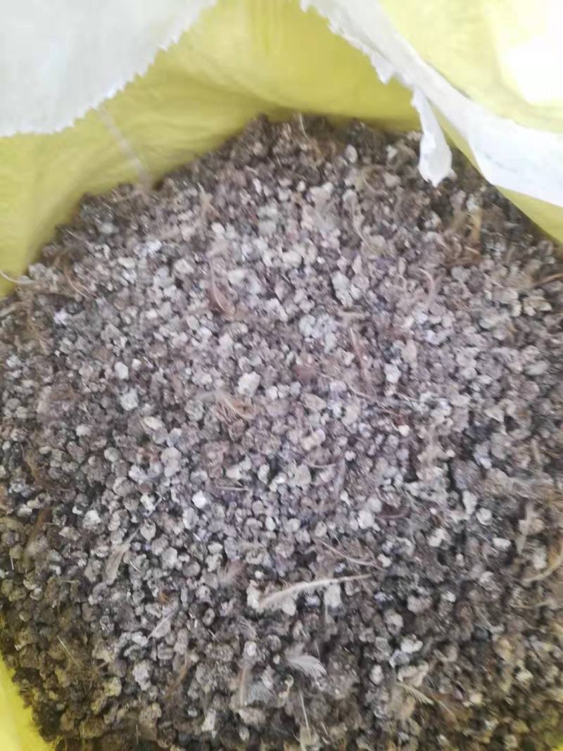 鸟粪20吨纯干颗粒粪