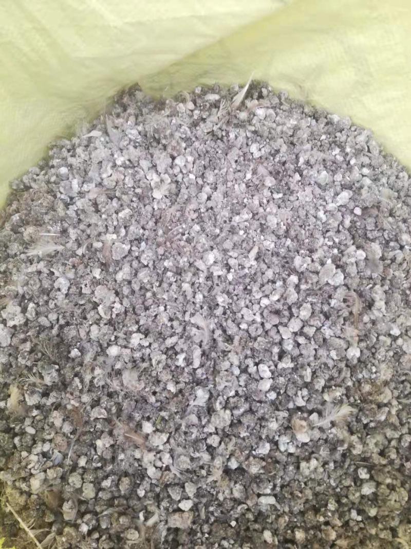 鸟粪20吨纯干颗粒粪