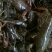 潜江特色小龙虾，小青，大青，中青