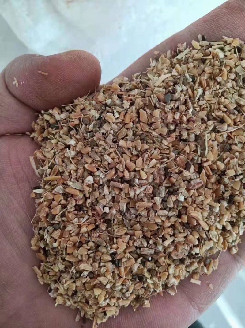 碎小麦，水分14个左右，霉变1%欢迎选购