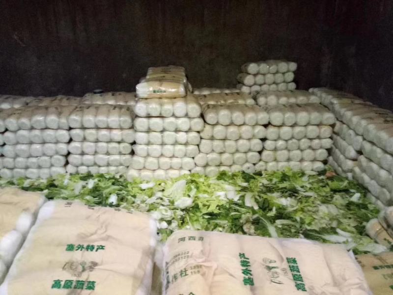 白菜产地直销，量大从优，保证质量，货源充足，