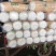白菜产地直销，量大从优，保证质量，货源充足，