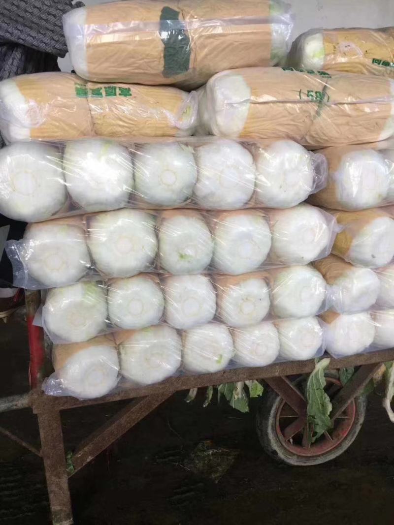 白菜产地直销，量大从优，保证质量，货源充足，